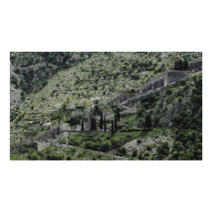 Focal View images
