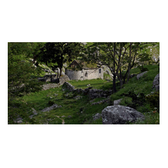 Focal View images