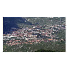 Focal View images