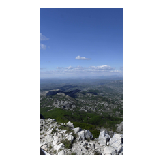 Focal View images